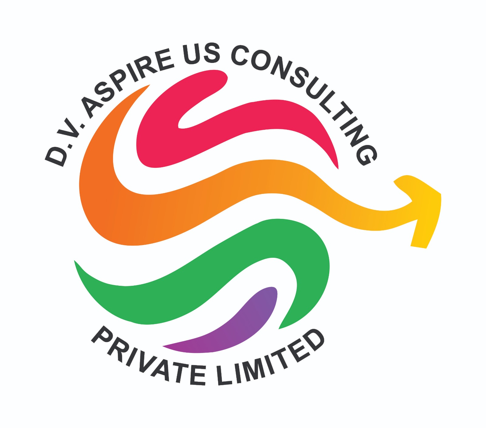 DV ASPIRE US CONSULTING